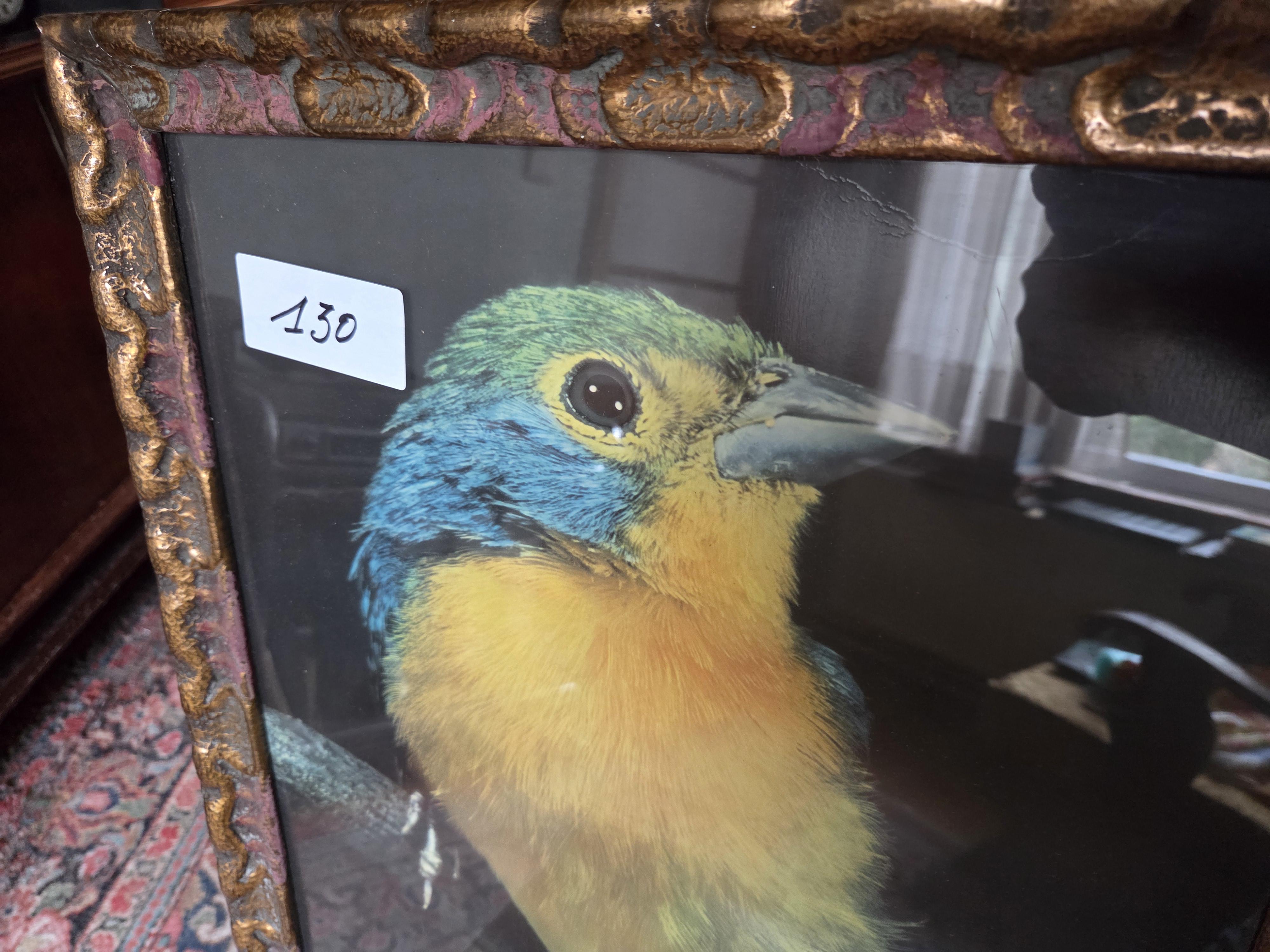 Set bestaande uit een grote ingelijste vogelprent, een kleurrijk schilderij van een vlinder bij paarse bloemen en een klein zwart-wit portret – Lot… – foto 2 – kavel bij Goeiendeal