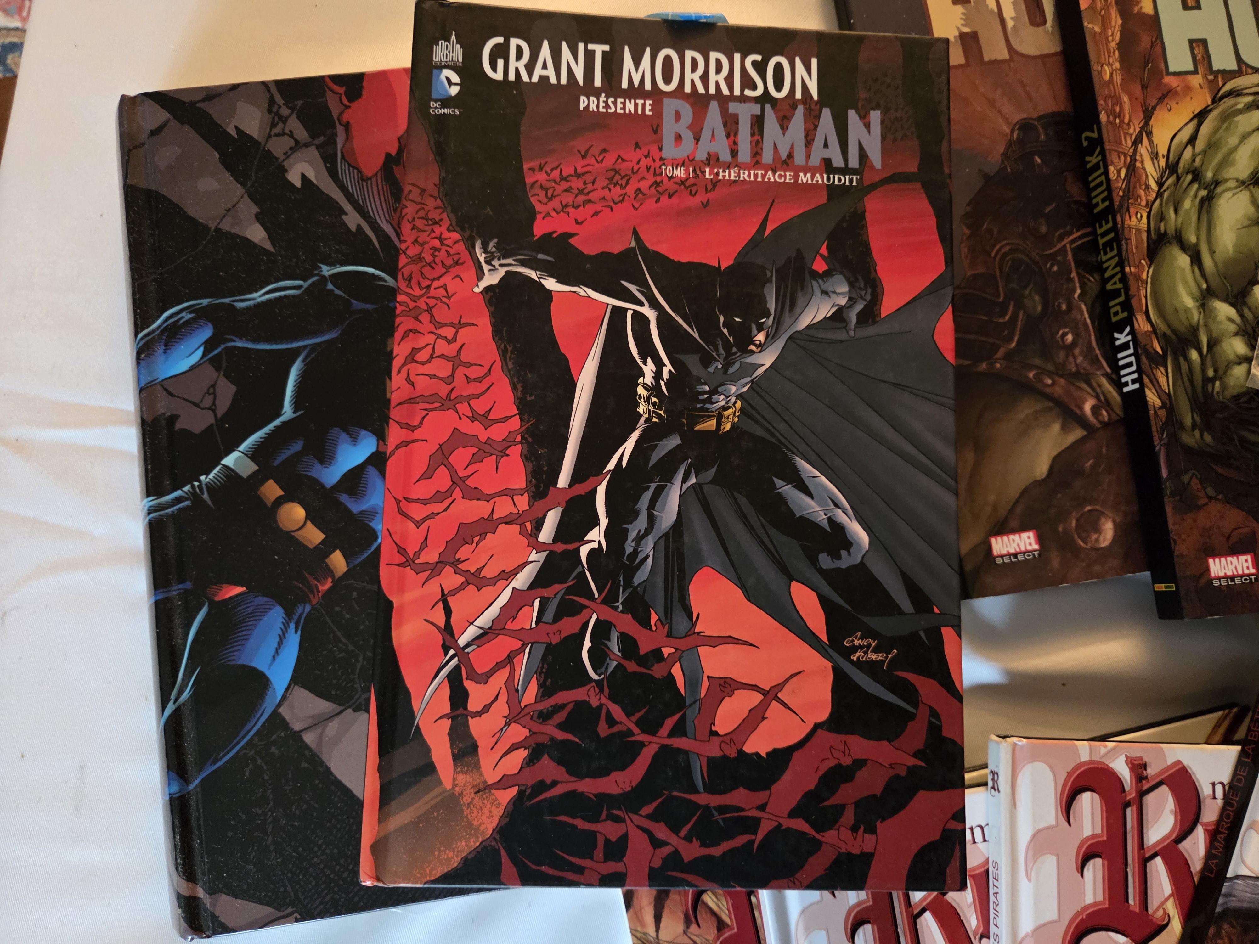 Verzameling comics van diverse reeksen, waaronder Claudia Chevalier Vampire, 666, Batman, The Incredible Hulk, Spawn en USA Magazine – Lot 142 – foto 2 – kavel bij Goeiendeal, Jett