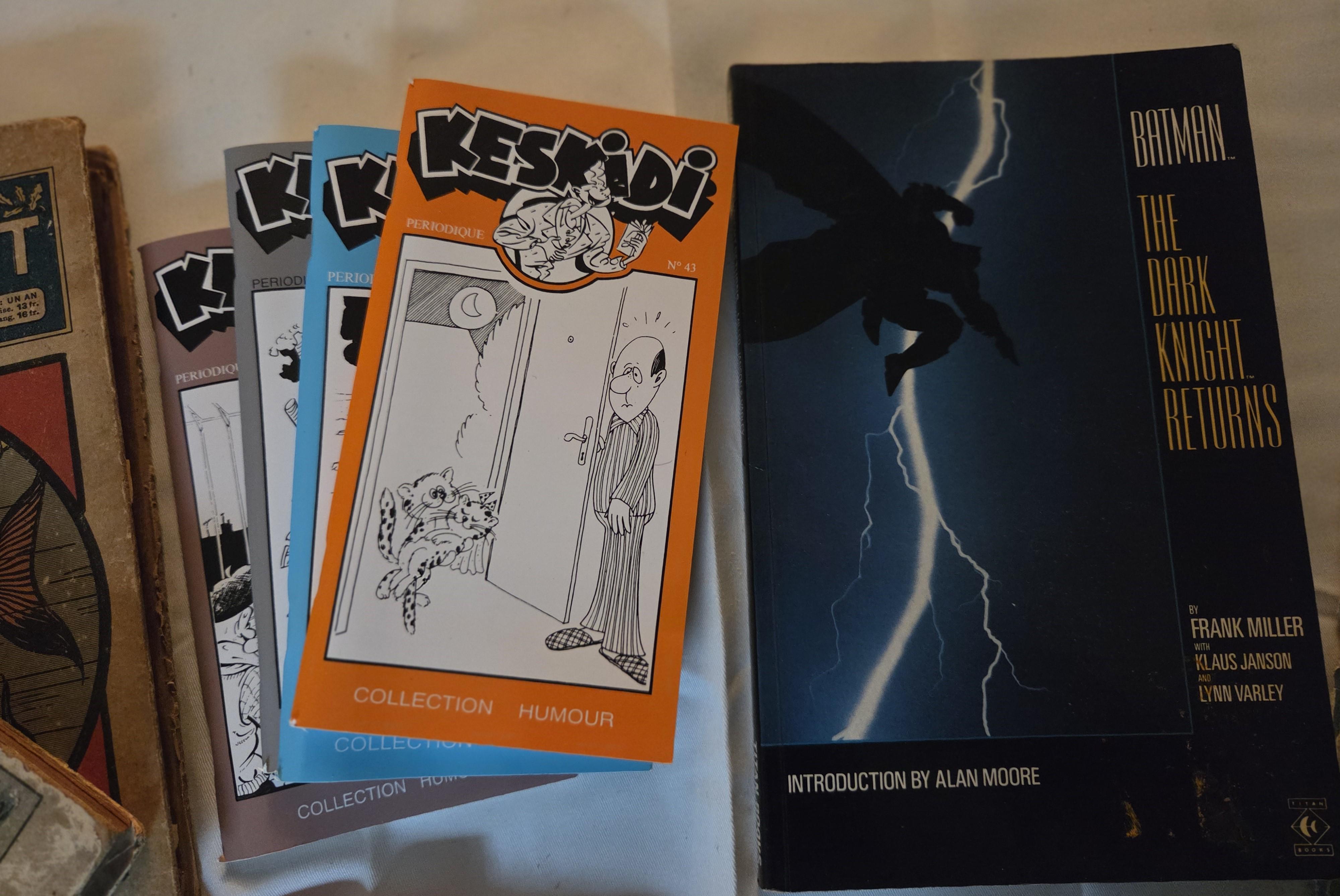 Kavel diverse Franstalige en Engelstalige lees-en prentenboeken, waaronder Martine au parc, fables de La Fontaine en Batman The Dark Knight Return… – foto 4 – kavel bij Goeiendeal,