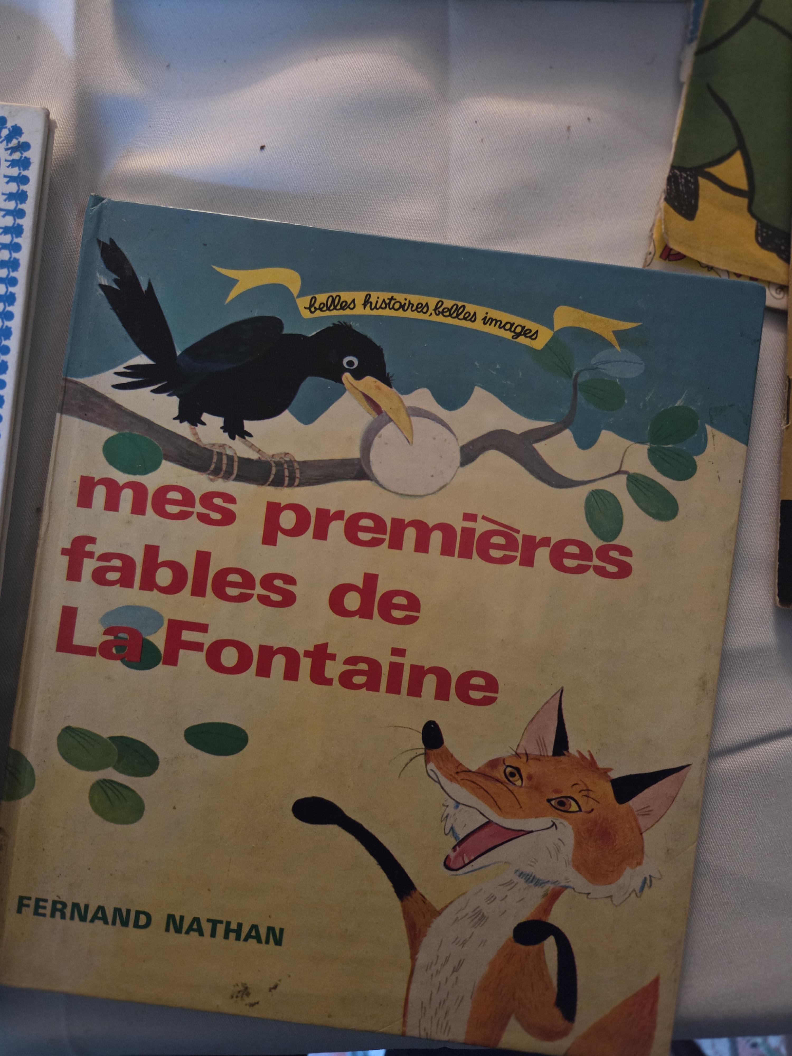 Kavel diverse Franstalige en Engelstalige lees-en prentenboeken, waaronder Martine au parc, fables de La Fontaine en Batman The Dark Knight Return… – foto 6 – kavel bij Goeiendeal,