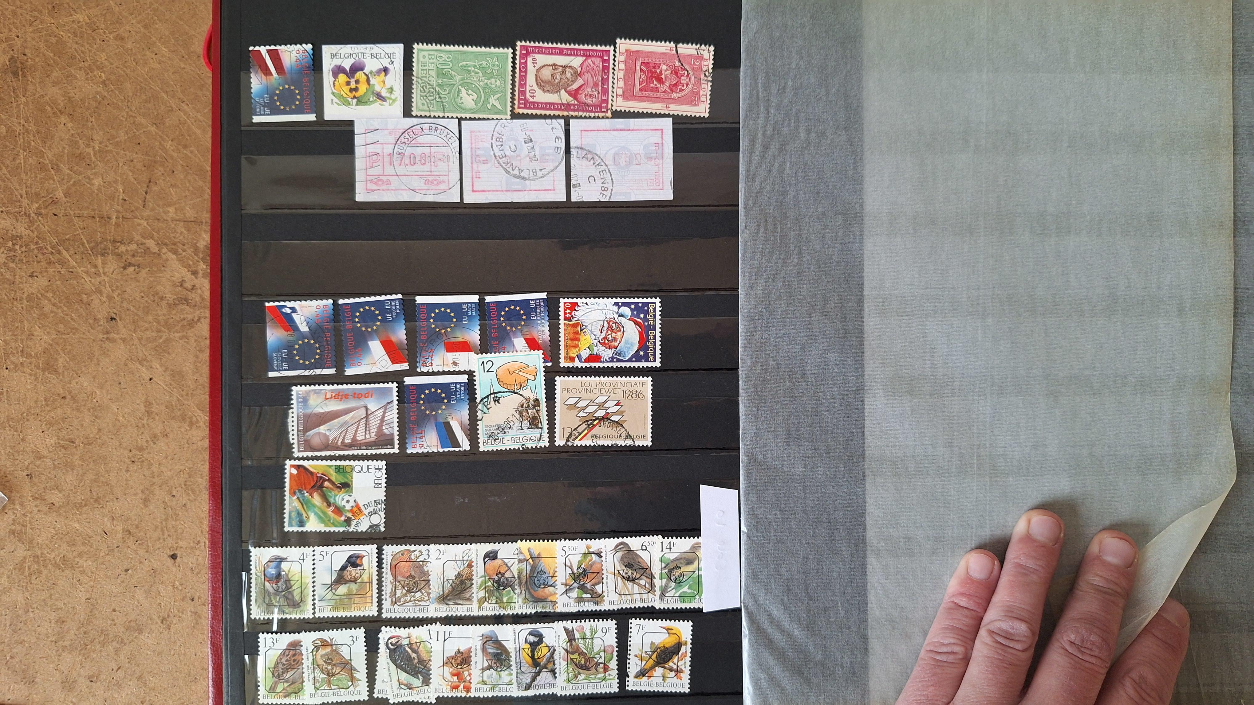 Postzegelalbum gevuld met postzegels van België – foto 6 – kavel bij Goeiendeal