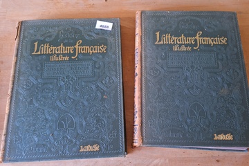 Afbeelding van Histoire de la Litérature francaise Illustree 2 boeken
