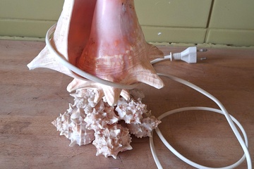 Afbeelding van Lamp Schelp 25cm werkend