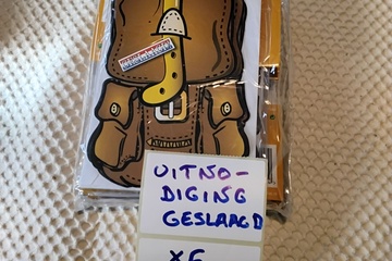 Afbeelding van 6x Uitnodigingskaarten "Hoera geslaagd!"