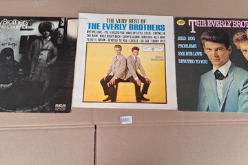 Afbeelding van the Everly brothers Lp's