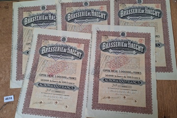 Afbeelding van Waardepapieren Brasserie de Haecht