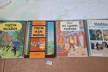 Afbeelding van Les Aventures de Tintin Albums