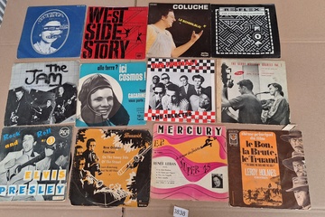 Afbeelding van Lot Singles