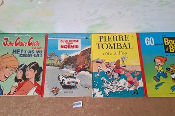 Afbeelding van Lot Franstalige strips