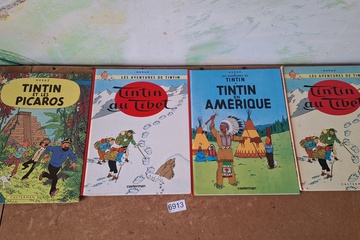 Afbeelding van Les Aventures de Tintin Albums