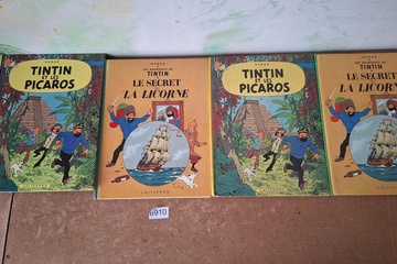 Afbeelding van Les Aventures de Tintin Albums