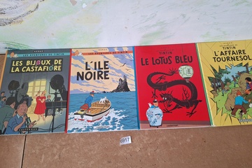Afbeelding van Les Aventures de Tintin Albums