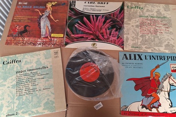 Afbeelding van lot Lp's