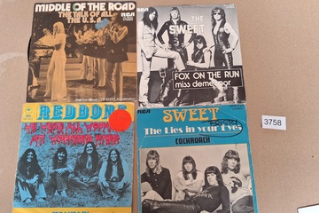 Afbeelding van Lot Singles