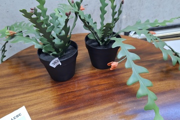 Afbeelding van Plastic planten in pot