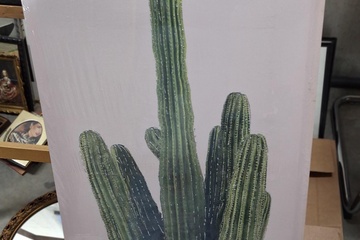 Afbeelding van Canvas Cactus nieuw