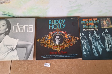 Afbeelding van Lot Lp's oa Buddy Holly, Diana ea