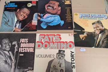 Afbeelding van Fats Domino Lp's