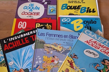 Afbeelding van Partij Franstalige strip albums