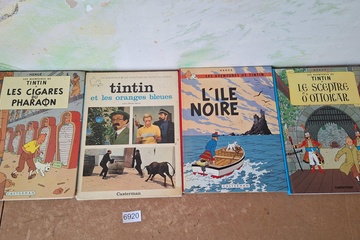 Afbeelding van Les Aventures de Tintin Albums