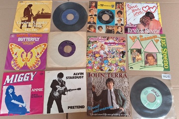 Afbeelding van lot singles