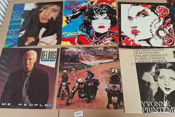 Afbeelding van lot Lp's