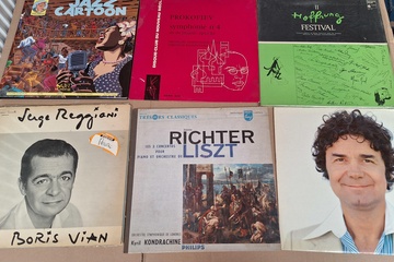 Afbeelding van Lot Lp's