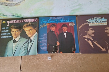 Afbeelding van The Everly brothers Lp's