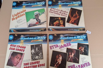 Afbeelding van La Grande Storia del Rock Lp's