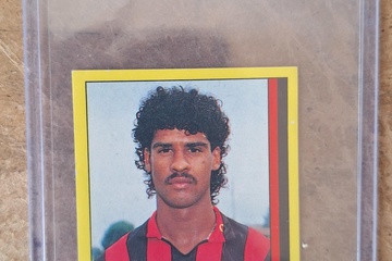 Afbeelding van Panini Sticker Franklin Rijkaard
