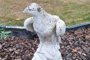 Afbeelding van Tuinbeeld Arend
