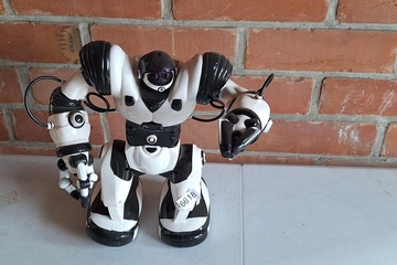 Afbeelding van Wowwee Robosapien getest en werkend