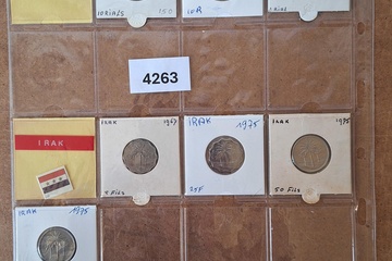 Afbeelding van lot Munten Irak & Iran