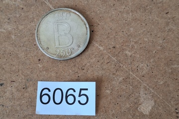 Afbeelding van Zilver Munt België 250 Fr.