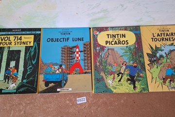Afbeelding van Les Aventures de Tintin Albums