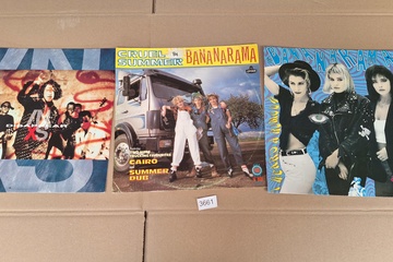 Afbeelding van Bananarama Lp's