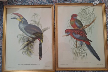 Afbeelding van Prenten vogels in kaders 