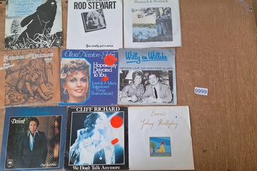 Afbeelding van Lot Singles