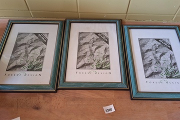 Afbeelding van kaders 3 stuks