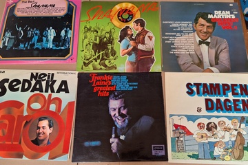 Afbeelding van lot Lp's