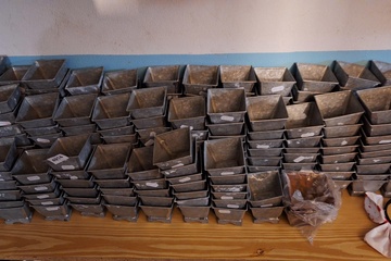 Afbeelding van Lot bloempotjes metaal +/- 160 stuks