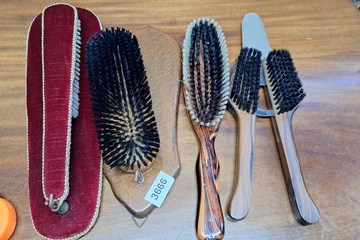 Afbeelding van Schoenborstels lot