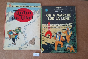 Afbeelding van Hergé Les Aventures de Tintin Tintin Au tibet et Tintin on a marché sur La Lune albums