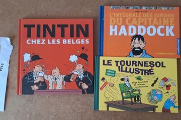 Afbeelding van Albums Tintin 3 stuks