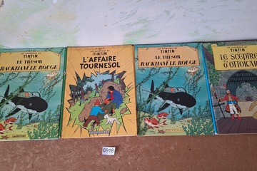Afbeelding van Les Aventures de Tintin Albums