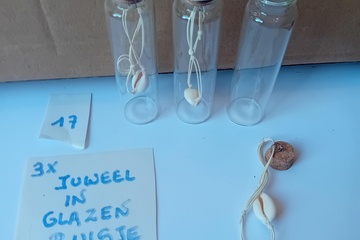 Afbeelding van Hanger met ketting in glazen buisjes 3 stuks