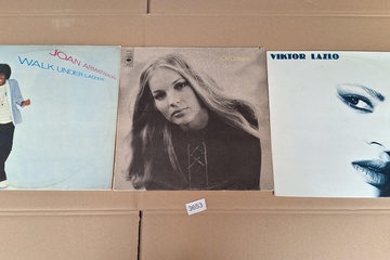 Afbeelding van lot Lp's