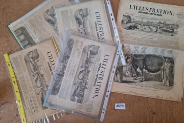 Afbeelding van L'illustration kranten