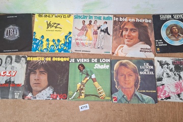 Afbeelding van Vinyl Singles 45T