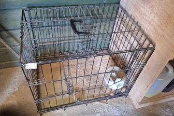 Afbeelding van Dierenhok